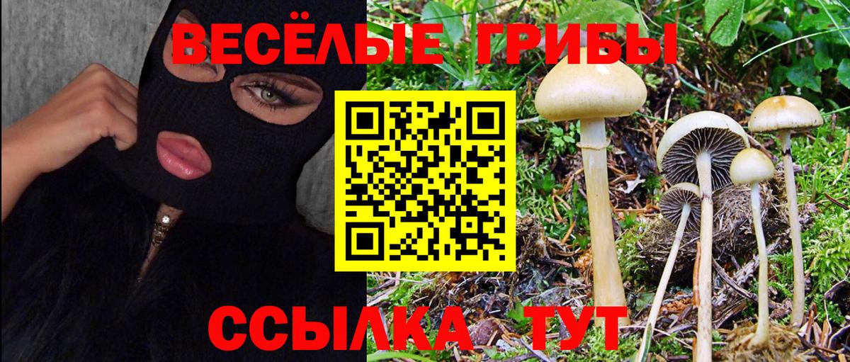 Галлюциногенные грибы ЛСД  Галлюциногенные грибы GOLDEN TEACHER  Вход с VPN  Снежинск 